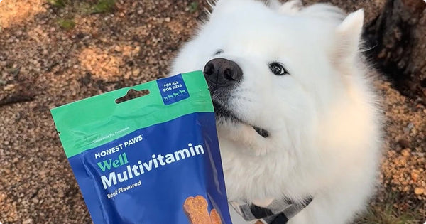 Honest Paws Review: A Premium Choice for Pet Wellness