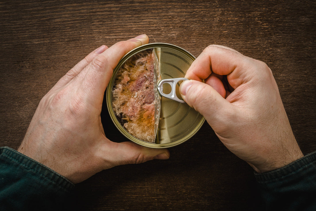 Can Dogs Eat Canned Chicken?