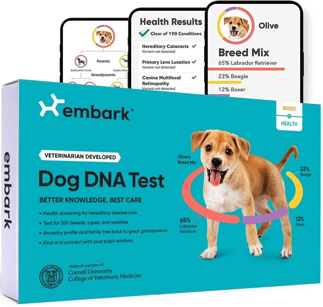 Dog DNA Test: A Guide to Purchasing the Best Brand