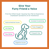 Dog Allergy Test Kit