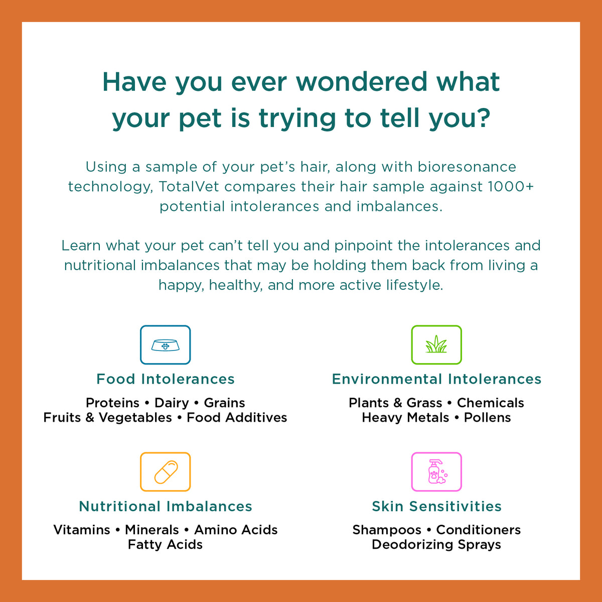 Dog Allergy Test Kit