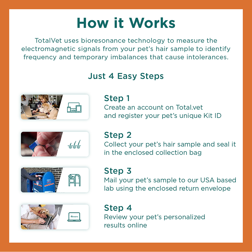Dog Intolerance Test