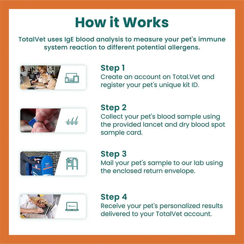 How the TotalVet dog allergy test works: register your kit, collect a few drops of blood, mail it in, get results online