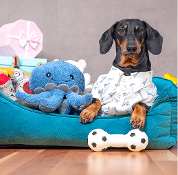 TotalVet community pet