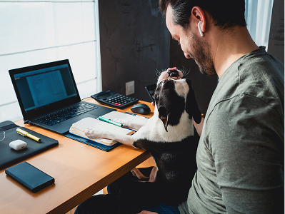 Registering a TotalVet test kit