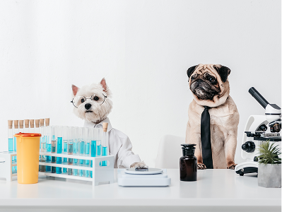 Collecting a pet sample at home