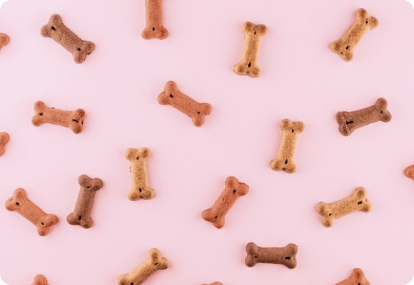 The 7 Best Cat Dental Treats: According to top Veterinarians