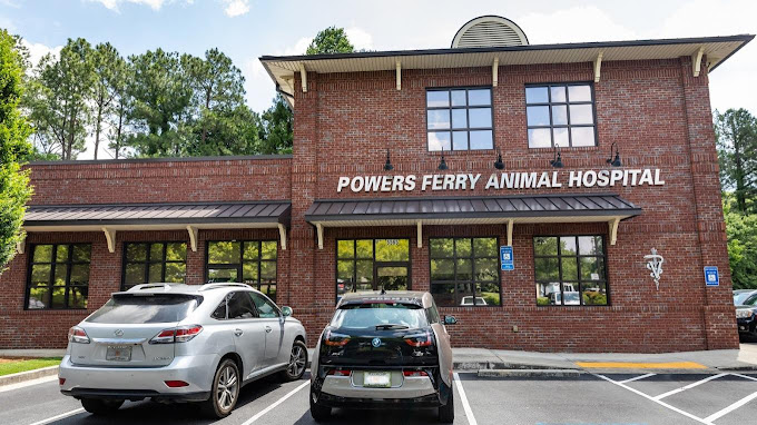 Best Vets in AtlantaPowers Ferry Animal Hospital Total Vet Best Vets in Atlanta Powers Ferry Animal Hospital