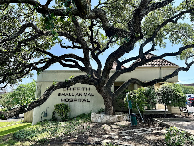 Best Vets in AustinGriffith Small Animal Hospital Total Vet Best Vets in Austin Griffith Small Animal Hospital