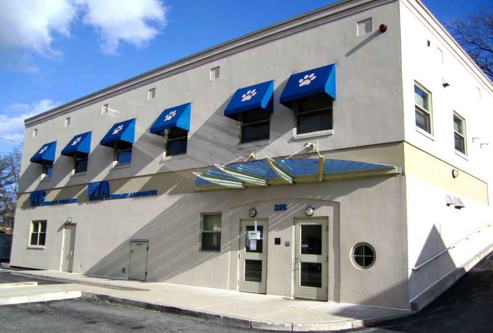 Best Vets in BostonDedham Veterinary Associates Total Vet Best Vets in Boston Dedham Veterinary Associates