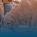 Open Farm Dog Food