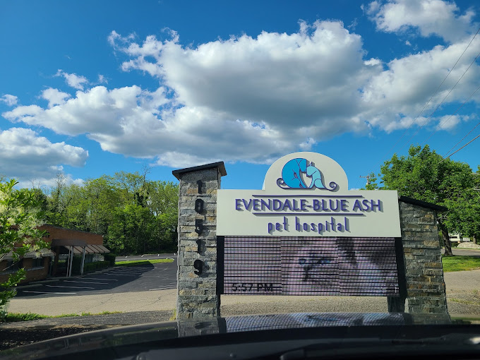 Best Vets in Cincinnati Evendale Blue Ash Pet Hospital