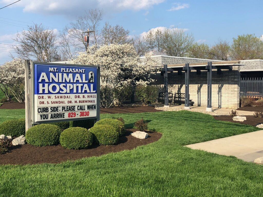 Best Vets in Cincinnati Mt Pleasant Animal Hospital