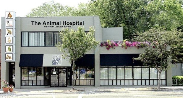 Best Vets in Cincinnati The Animal Hospital on Mt Lookout Square