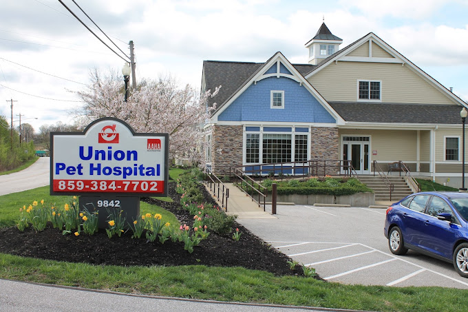 Best Vets in Cincinnati Union Pet Hospital