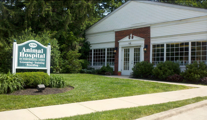 Best Vets in ColumbusAnimal Hospital of Worthington Total Vet Best Vets in Columbus Animal Hospital of Worthington