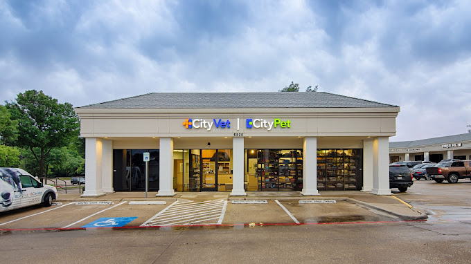 Best Vets in DallasCityVet Addison Total Vet Best Vets in Dallas CityVet Addison