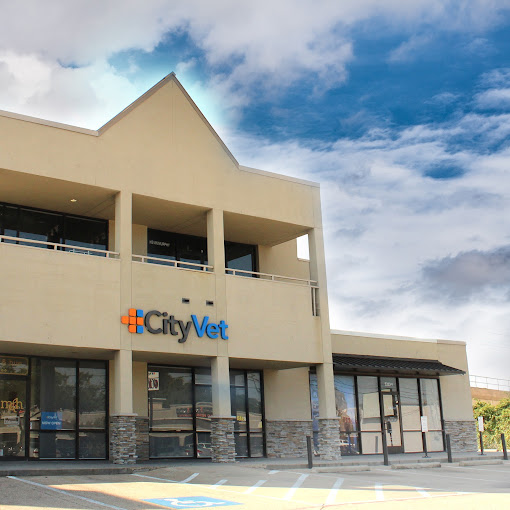 Best Vets in DallasCityVet Lovers Lane Total Vet Best Vets in Dallas CityVet Lovers Lane