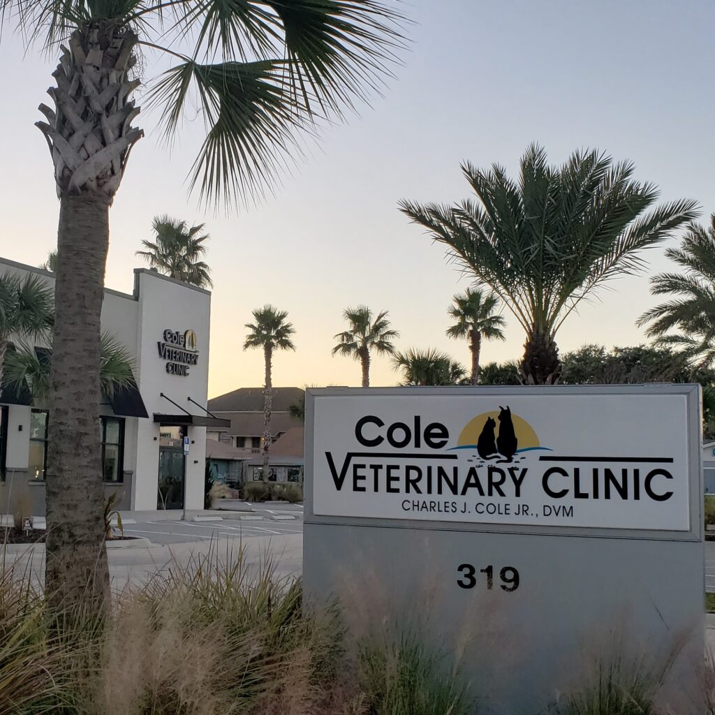 Best Vets in Jacksonville Cole Veterinary Clinic