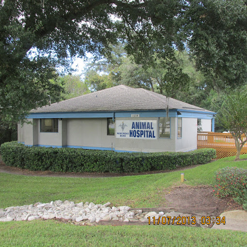 Best Vets in Jacksonville Monument Road Animal Hospital