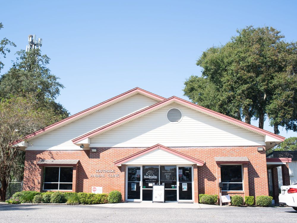 Best Vets in Jacksonville Southside Animal Clinic