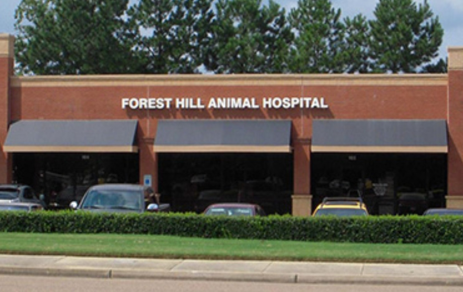 Best Vets in Memphis Forest Hill Animal Hospital