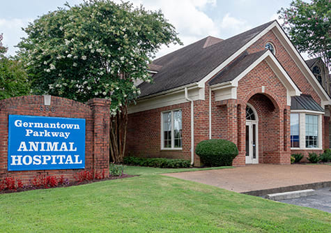 Best Vets in Memphis Germantown Animal Hospital