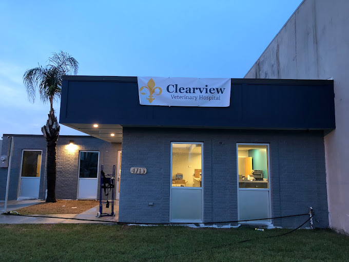 Best Vets in New Orleans Clearview Veterinary Hospital