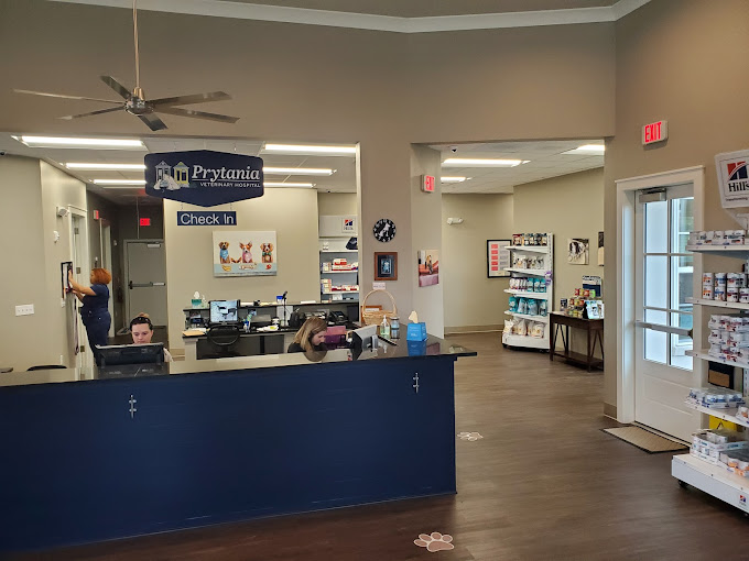 Best Vets in New Orleans Prytania Veterinary Hospital