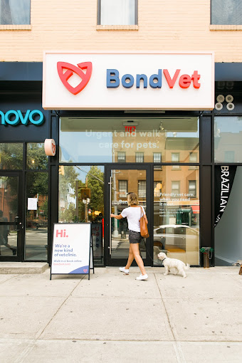 Best Vets in New York City Bond Vet Cobble Hill