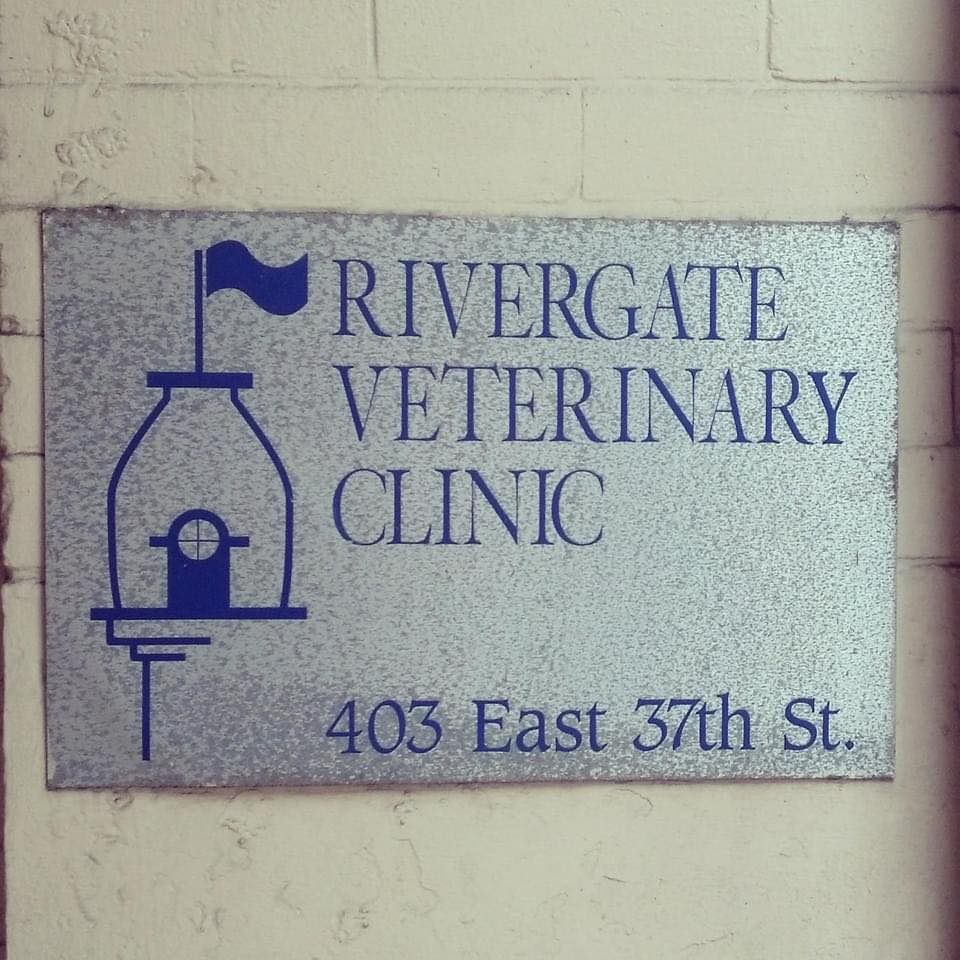 Best Vets in New York City Rivergate Veterinary Clinic