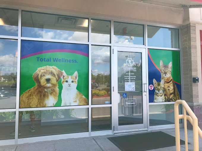 Best Vets in New York City Village Veterinary Hospital