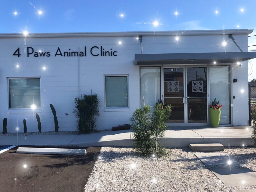 Best Vets in Orlando 4 Paws Animal Clinic