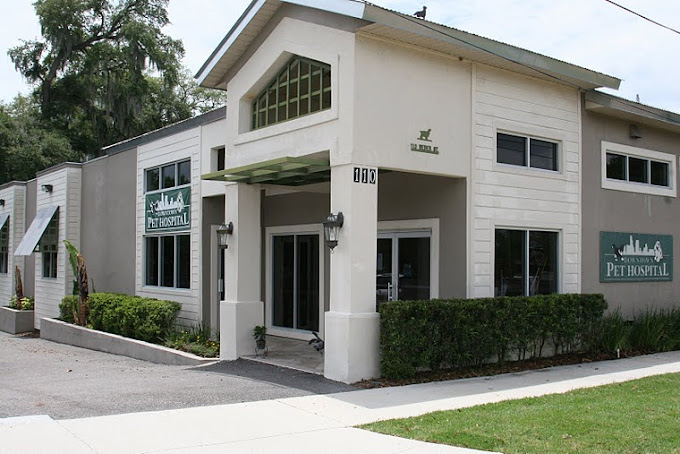 Best Vets in Orlando Downtown Pet Hospital