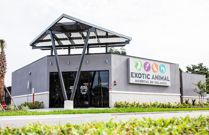 Best Vets in Orlando Exotic Animal Hospital of Orlando