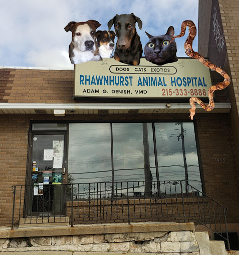 Best Vets in Philadelphia Rhawnhurst Animal Hospital