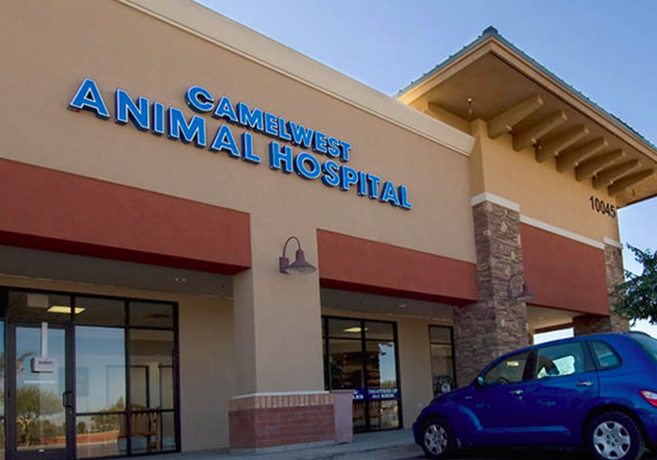 Best Vets in Phoenix Camelwest Animal Hospital