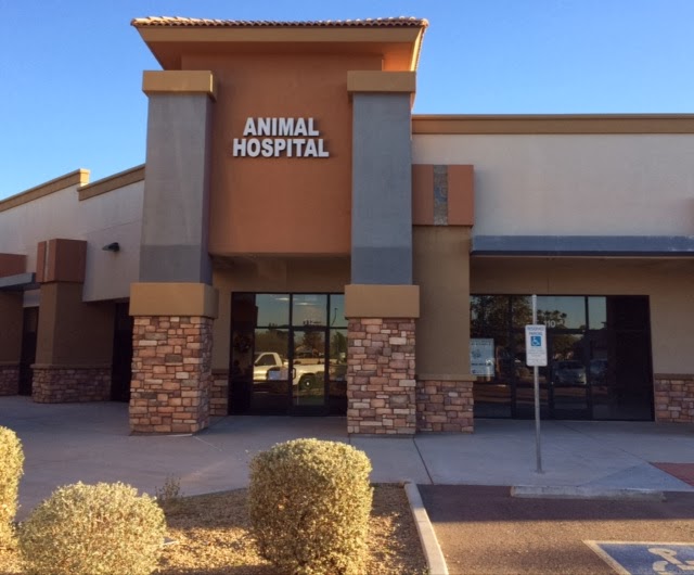 Best Vets in Phoenix Desert Sky Animal Hospital