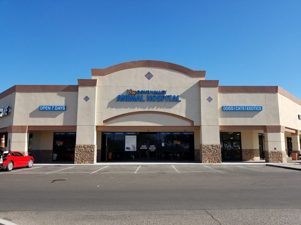 Best Vets in Phoenix Dove Valley Animal Hospital