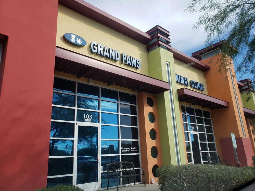 Best Vets in Phoenix Grand Paws Animal Clinic