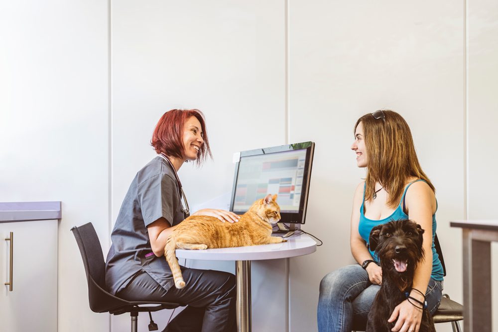 Total Vet Be Pet Smart and Consider Petsmart Insurance for Your Pet