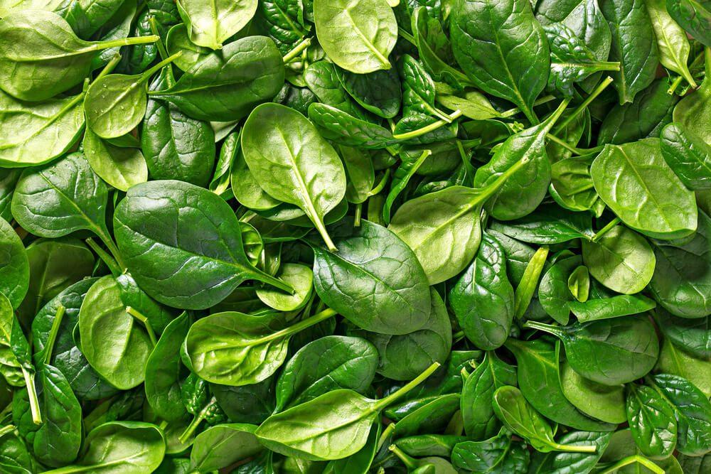 Is raw spinach good for dogs best sale