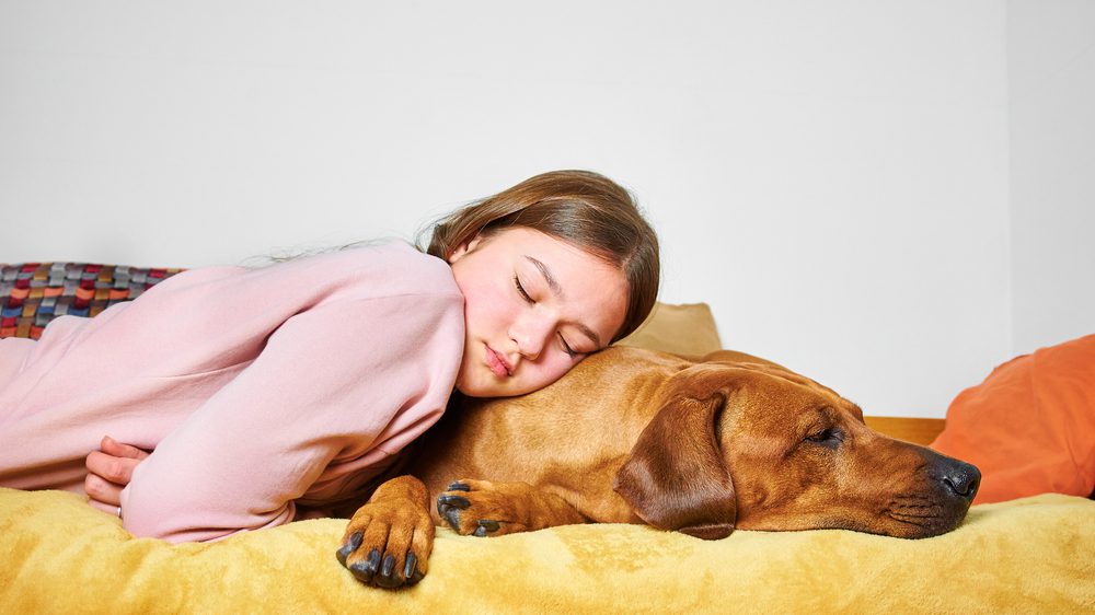 Conditions Linked to Bad Dog Gut Health