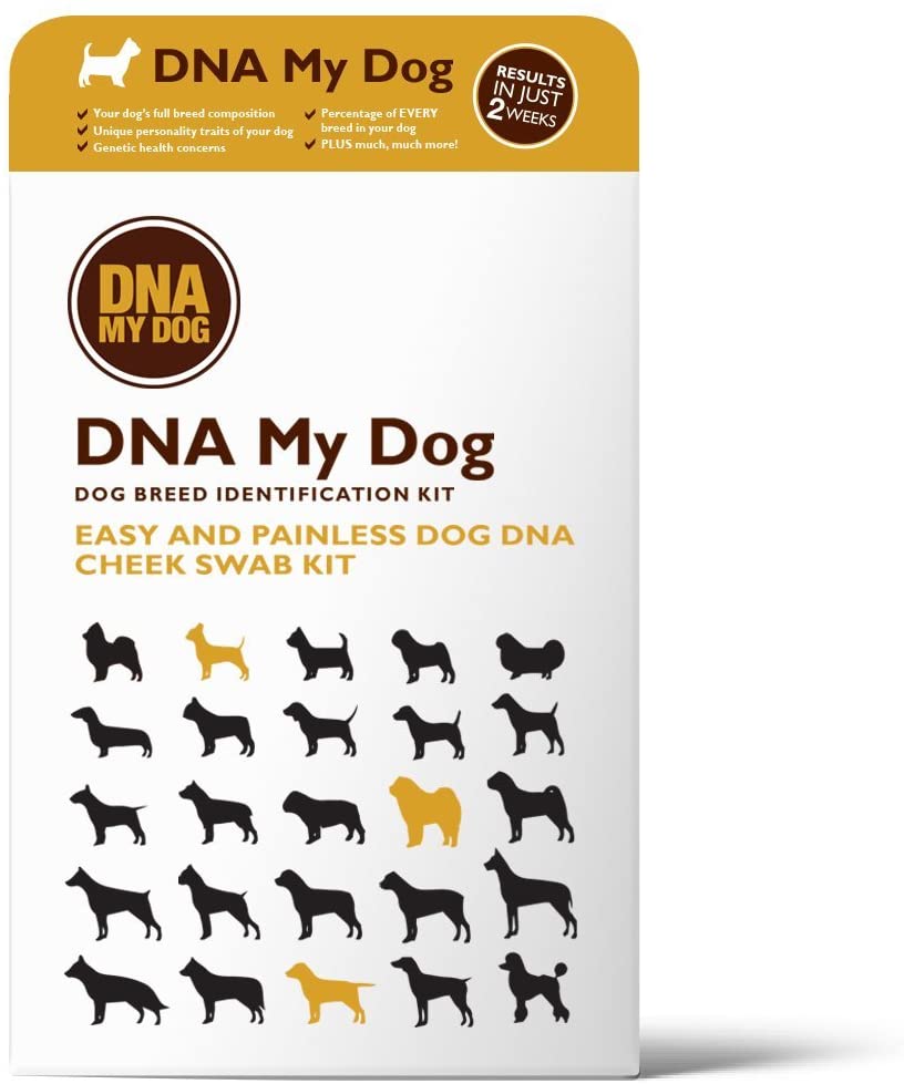 DNA My Dog Canine Breed Identification Test Kit