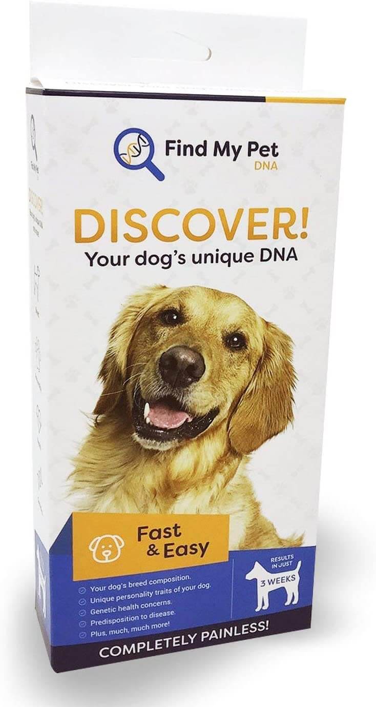 Find My Pet DNA Dog DNA 40 Enhance Test