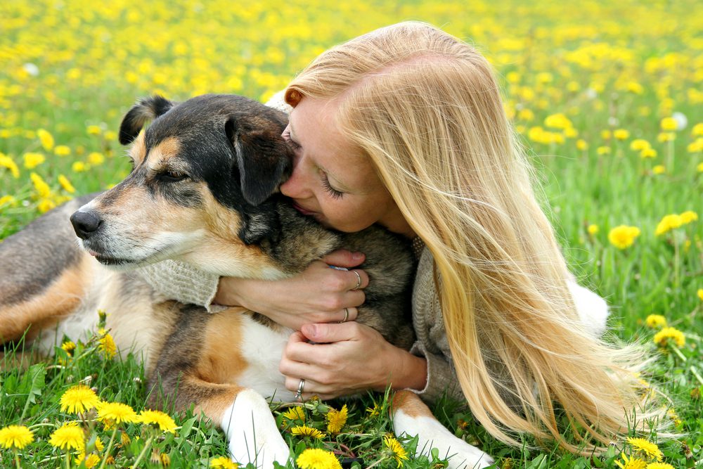 Total Vet How Long Will a Dog Live With Bone Cancer
