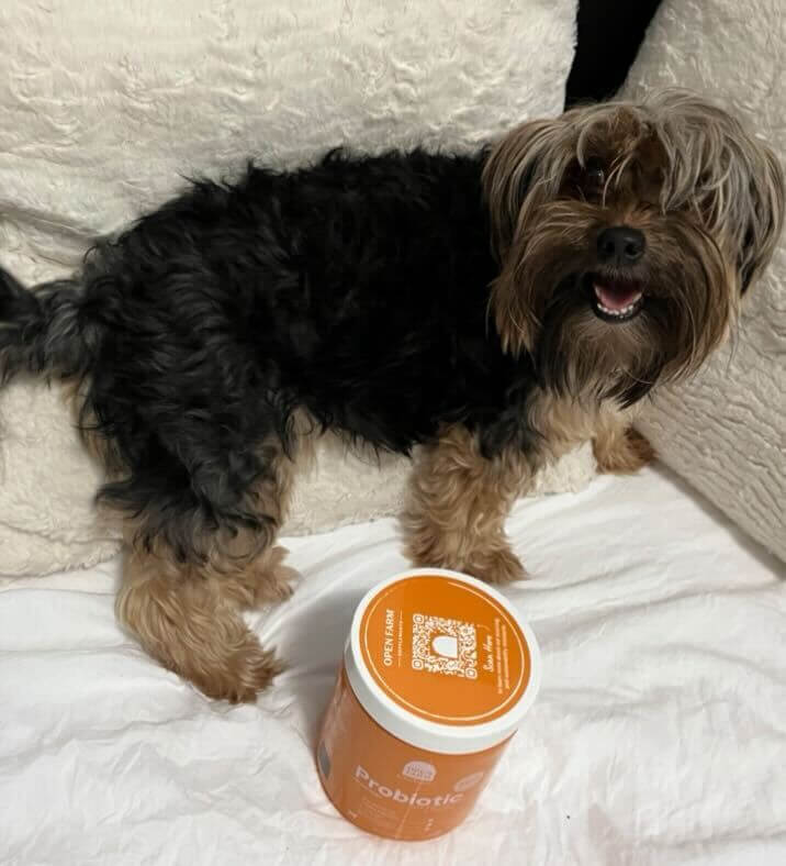 What Did We Think of Open Farm Probiotics for Dogs