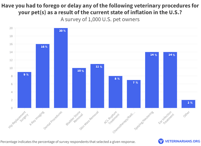 Inflation Impact on Pet Owner Vet Visits