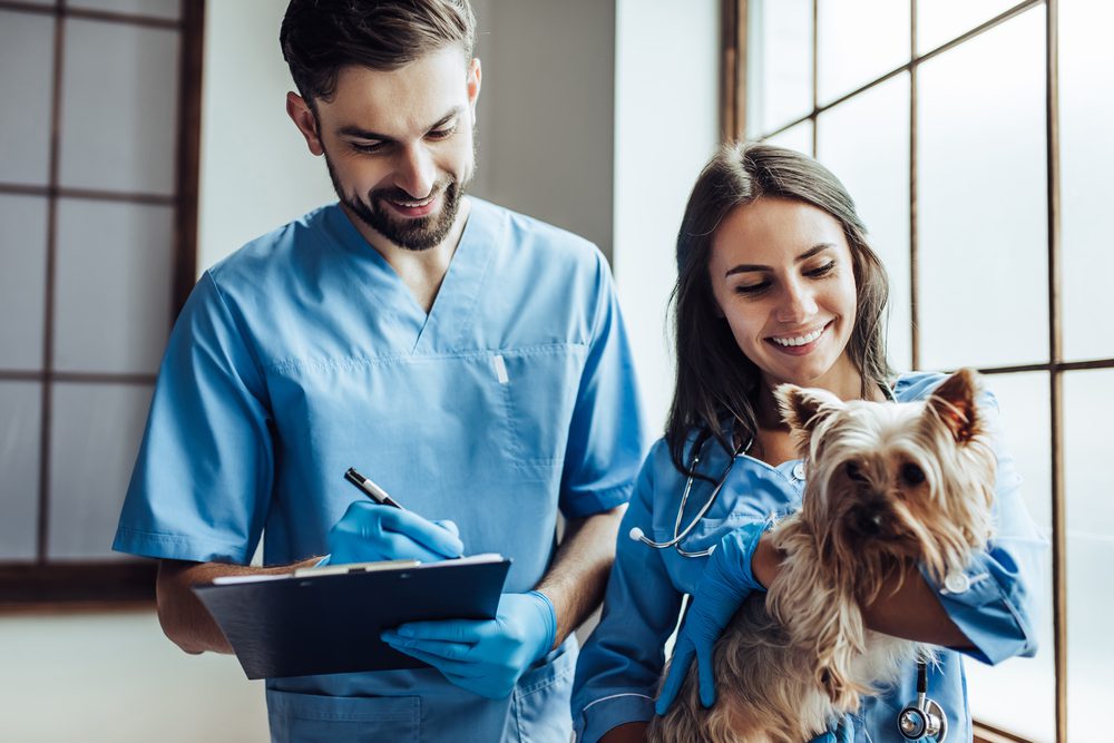 Total Vet Is Salmon Oil Good for Dogs