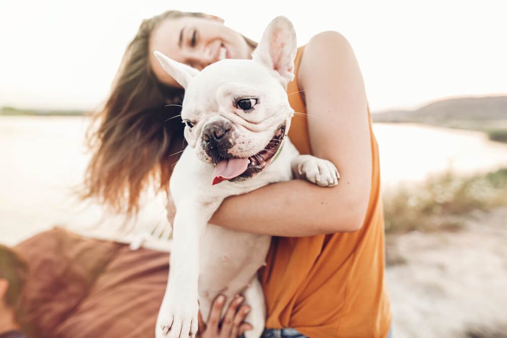 Total Vet professional mars wisdom panel dog dna test reviewed